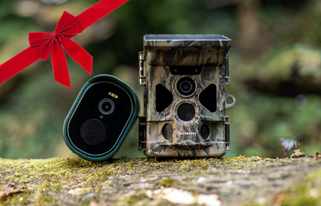 Best Wildlife Cameras for Christmas 2025: NatureSpy Gift Guide